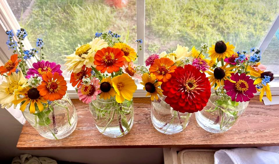 Shanelles_flowers Shanelle's flowers from her garden